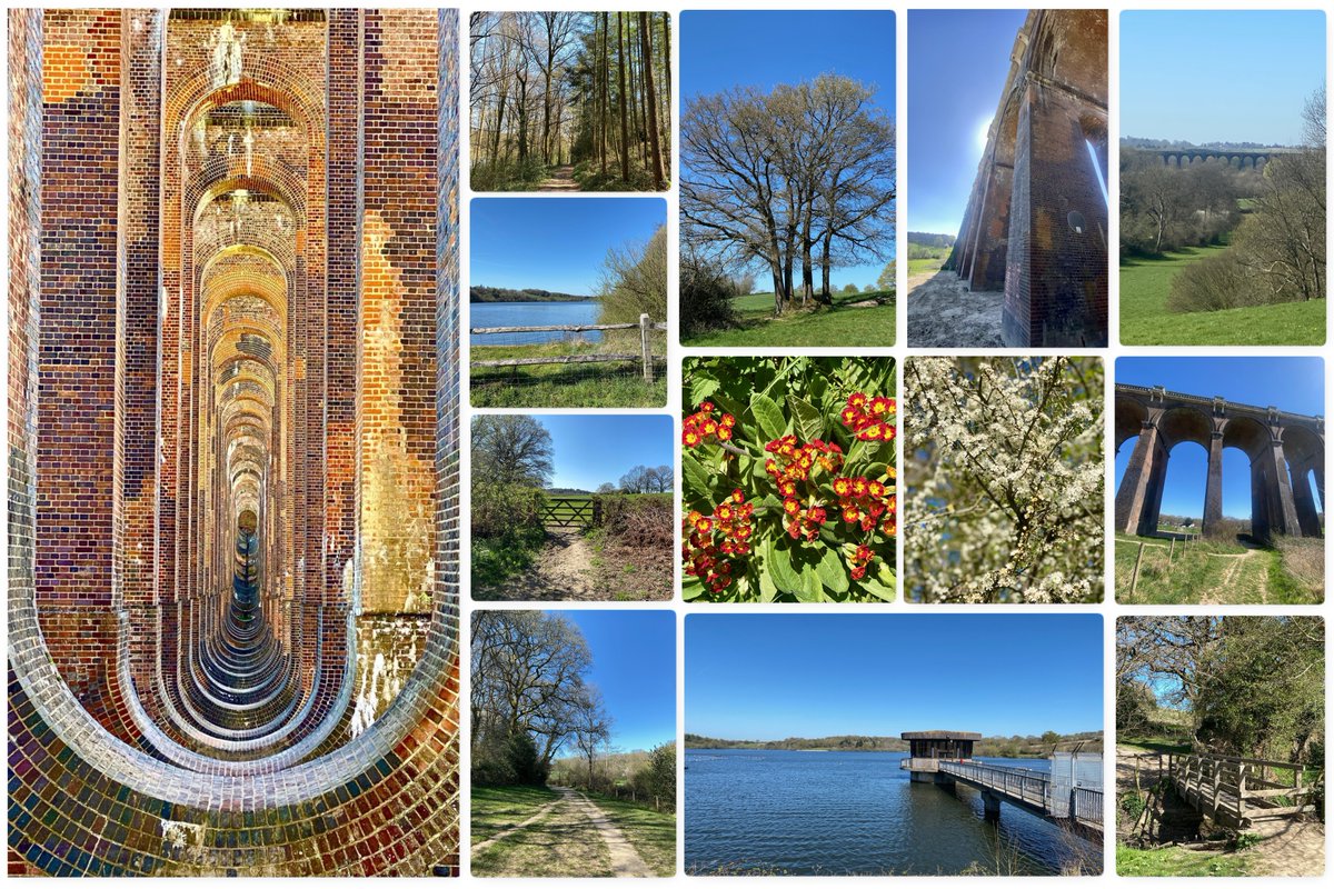 marcthevet's tweet photo. Few pics from 6-mile circular around #Ardingly Reservoir incl. #BalcombeViaduct. Stunning spring conditions & plenty of wildlife incl. loads of Orange-tip butterflies, Tufted ducks, plus watched a Marsh harrier hunt a baby rabbit (which it dropped & rabbit escaped!) #OuseValley https://t.co/g1uTMXizOY