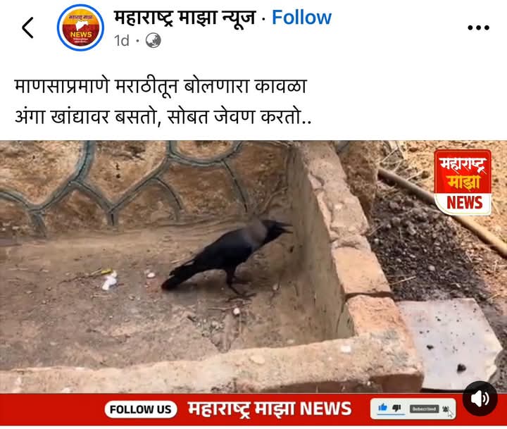 कावळा सुध्दा मराठीत बोलतो...
पण अजूनही काही परप्रांतीय गाढवांना मराठी बोलता येत नाही .... 😅😆🤣🤣

<a href="/RajThackeray/">Raj Thackeray</a> 
<a href="/mnsadhikrut/">MNS Adhikrut - मनसे अधिकृत</a> 
<a href="/ekikaranmarathi/">मराठी एकीकरण समिती - Marathi Ekikaran Samiti</a>