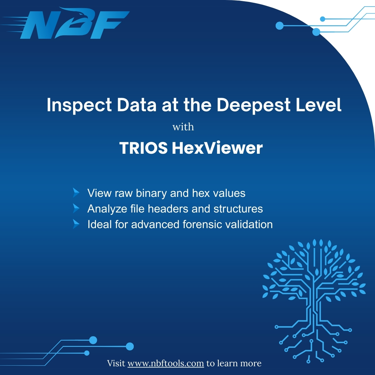 NbfTools's tweet image. Every Byte Tells a Story — TRIOS Hex Viewer Helps You Read It. Visit nbftools.com to know more or reach out to us at info@nbftools.com.

#DigitalForensics #TRIOS #NBFTools #HexViewer #ForensicAnalysis #CyberSecurity