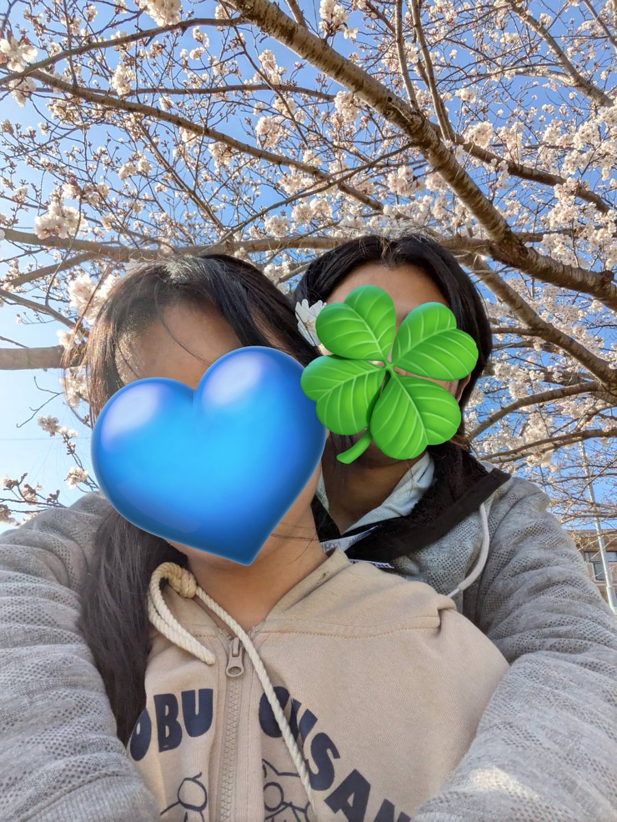 nyantakinhcPSO2's tweet image. お花見に行ったバカップルwいやぁ春ですなーみんなは花見行った?