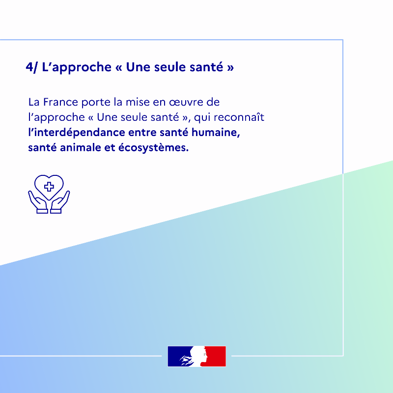 francediplo's tweet photo. Lutter contre les maladies infectieuses, la mortalité infantile et maternelle... 
Autant de causes pour lesquelles la France s'engage tous les jours à travers le monde. 🩺

Retour sur l’action de la France à l'occasion de la Journée mondiale de la santé 👇