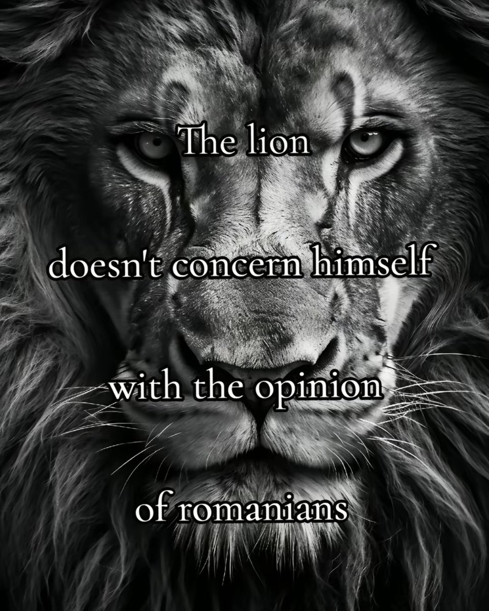 . <a href="/bobinfn/">bobin</a> the lion doesn’t concern himself with romania.