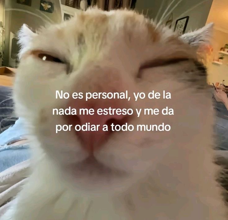 okkkvale 👍 (@okkkvale) on Twitter photo 