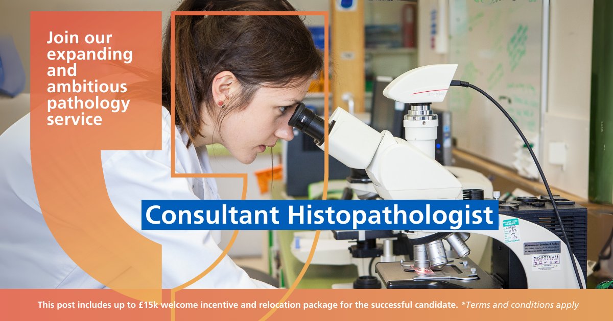 Careers at Gloucestershire Hospitals (@gloshos_careers) on Twitter photo We're recruiting a Histopathology Consultant to join our team <a href="/gloshospitals/">Gloucestershire Hospitals NHS Foundation Trust</a>
This is an exciting opportunity for an established Consultant Cellular Pathologist. We're offering up to £15k welcome incentive to the successful candidate *T&C's apply
APPLY ➡️ ow.ly/ocEQ50Vvwhi We're recruiting a Histopathology Consultant to join our team <a href="/gloshospitals/">Gloucestershire Hospitals NHS Foundation Trust</a>
This is an exciting opportunity for an established Consultant Cellular Pathologist. We're offering up to £15k welcome incentive to the successful candidate *T&C's apply
APPLY ➡️ ow.ly/ocEQ50Vvwhi
