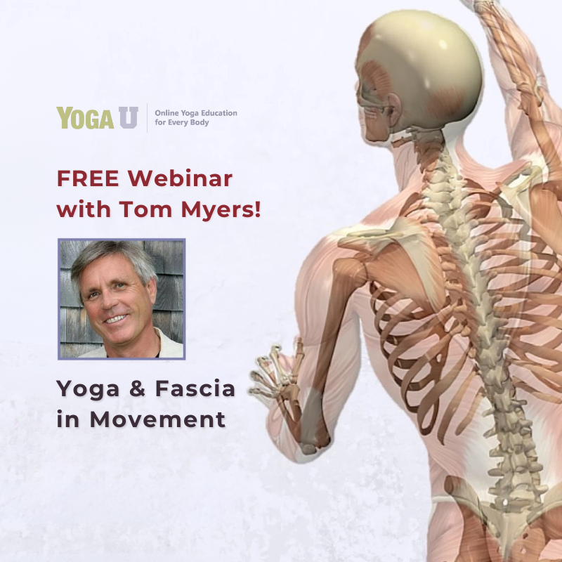 Could it be that most of what we’ve learned about the anatomy of the body is wrong—or at the very least, not the full picture?

Tom Myers describes the many important changes in our view of the body prompted by new research into fascia.

yogauonline.com/yoga-practice-…
