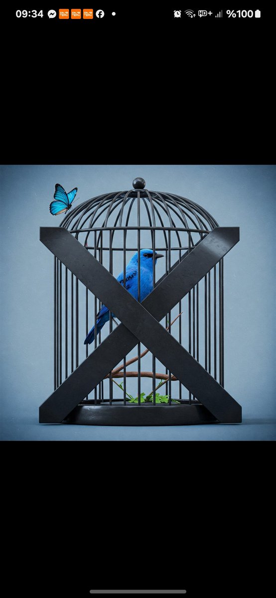 BUTTERFLY EFFECT...Can a butterfly's wing flap change the world..? We'll all see together...!!