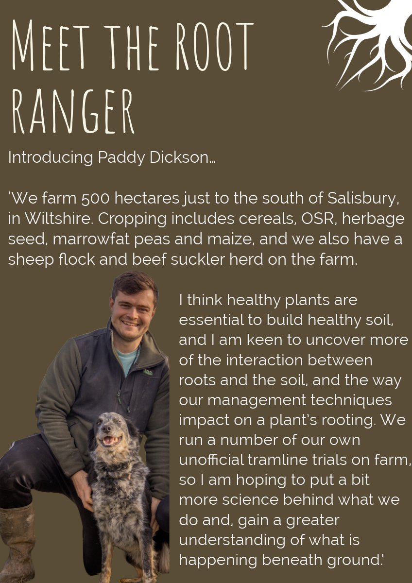 _truth_project's tweet image. Introducing Paddy - @PaddyDickson1 has joined as a Root Ranger with the hopes of putting more science behind what they do and gaining a better understanding of what's happening beneath the ground!🦠🪱Find out more below 👇
Meet the other Root Rangers: thefarmingforum.co.uk/index.php?thre…