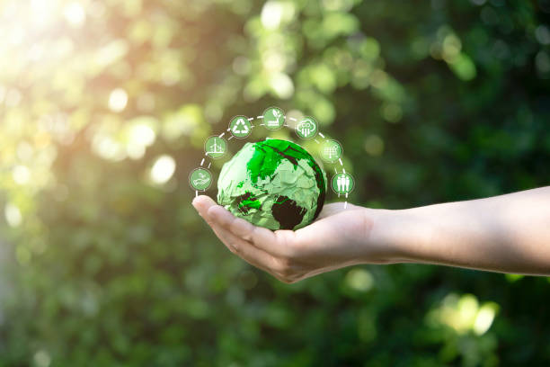 Working towards an environmentally sustainable and equitable future?

By linking O*NET data to the ASHE- 2011 Census dataset,  Damian Whittard's Data Insight contributes new evidence to explore green jobs in England and Wales.

Read it here: wagedynamics.com/2025/04/07/wor…