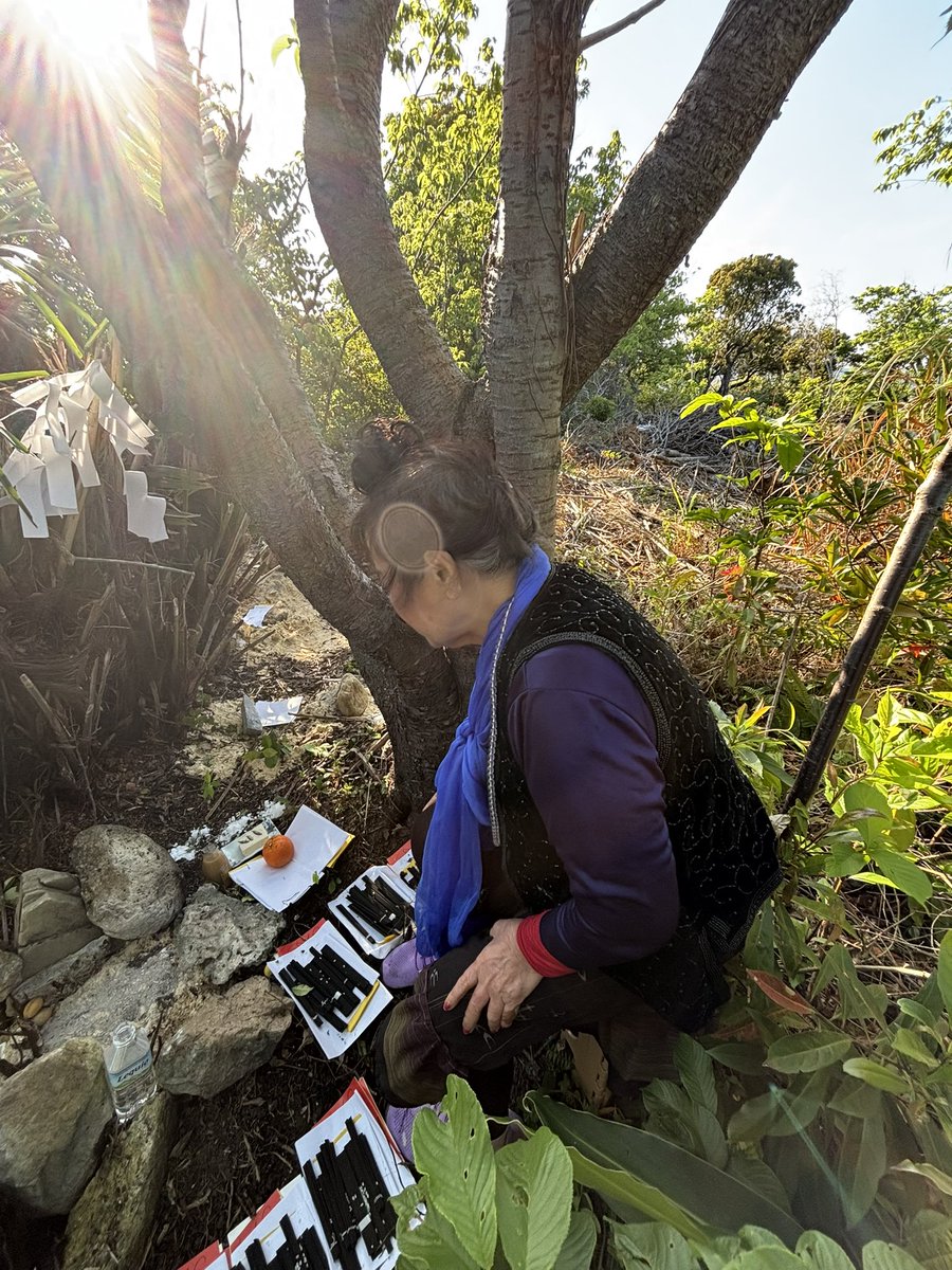 渡具知綾子 祈りの森，風，名護曲 (@ayakotoguchi) / Posts / X