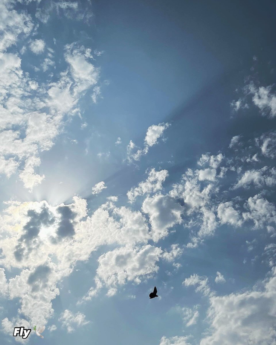 Musaafiirrr's tweet photo. Udaan shuru karna zaroori hai
Phir wo chahe zameen 
se ho ya aasmaan se ~ Musafir https://t.co/boh5cZ79h7