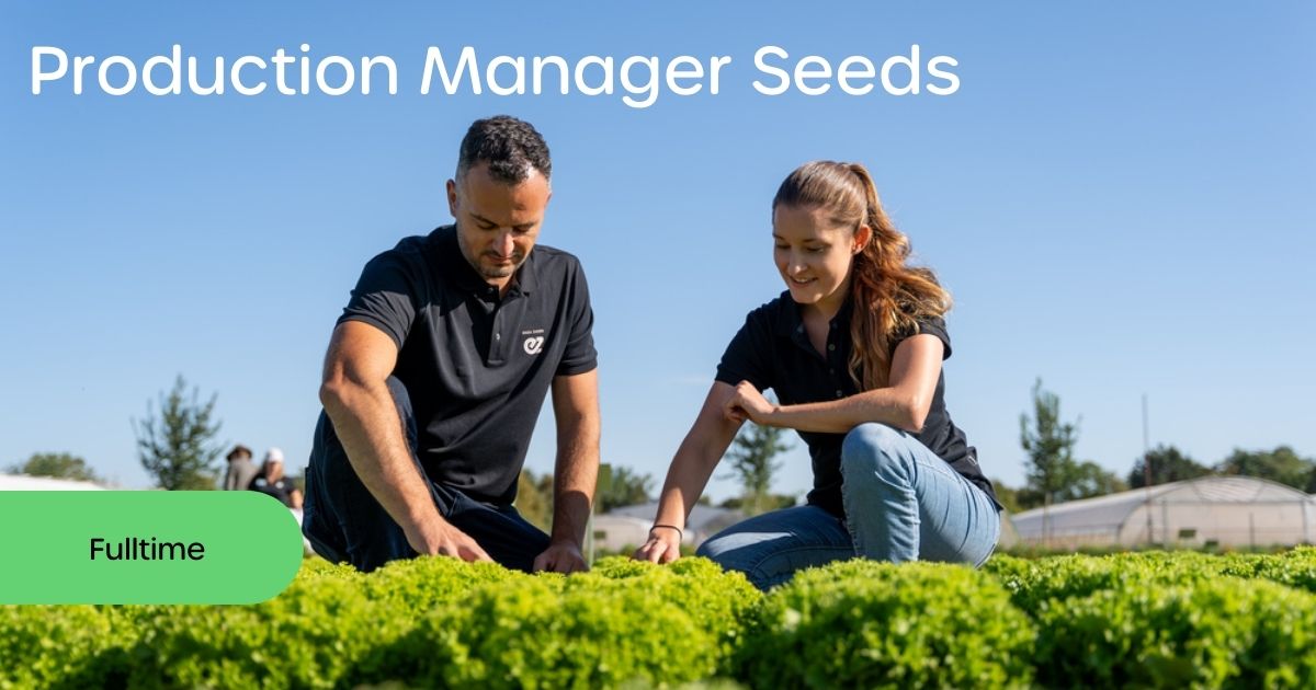 💡 Production Manager Seeds Wanted! 💡
Lead our global seed production for tomatoes &amp; eggplants at Enza Zaden. Optimize quality &amp; efficiency, guide a talented team, and collaborate across departments.
🌱 Ready to grow with us?
🔎 Apply now ➡️ bit.ly/4cpPITG