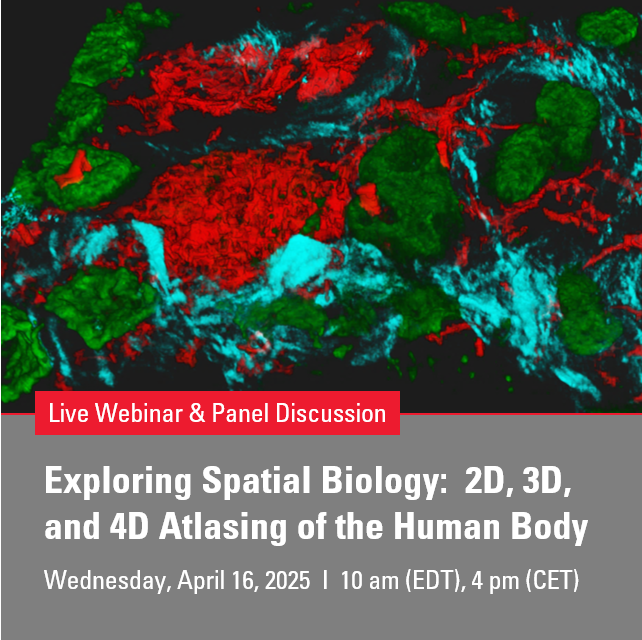 Leica Microsystems (@leicamicro) on Twitter photo From the 3D micro-environment of the kidney to 4D atlasing of human organs, explore how cutting-edge imaging & spatial technologies are transforming #biomedicalresearch. Join <a href="/AshkarLab/">Tarek M. Ashkar (El-Achkar)</a> & <a href="/sarahteichmann1/">Sarah Teichmann</a> at this live event! fcld.ly/hyh0vuq #CellMapCrew #HumanCellAtlas From the 3D micro-environment of the kidney to 4D atlasing of human organs, explore how cutting-edge imaging & spatial technologies are transforming #biomedicalresearch. Join <a href="/AshkarLab/">Tarek M. Ashkar (El-Achkar)</a> & <a href="/sarahteichmann1/">Sarah Teichmann</a> at this live event! fcld.ly/hyh0vuq #CellMapCrew #HumanCellAtlas
