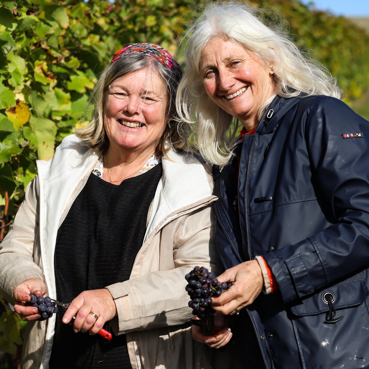 What does it mean to be a grower-producer?

In part one of our new blog series, co-founder Sarah Driver explores the relationships at the heart of Rathfinny.

Read more: bit.ly/3Y7nMOH