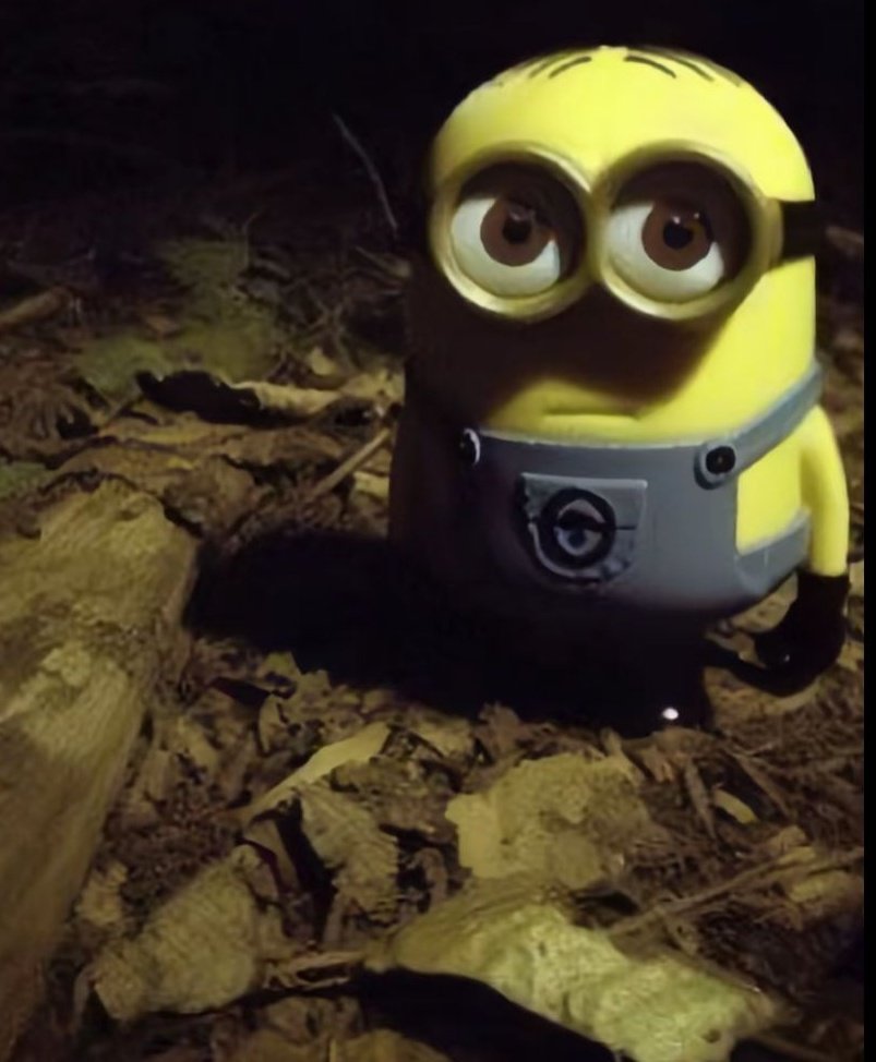 Gothoneyy 💜 tweet media