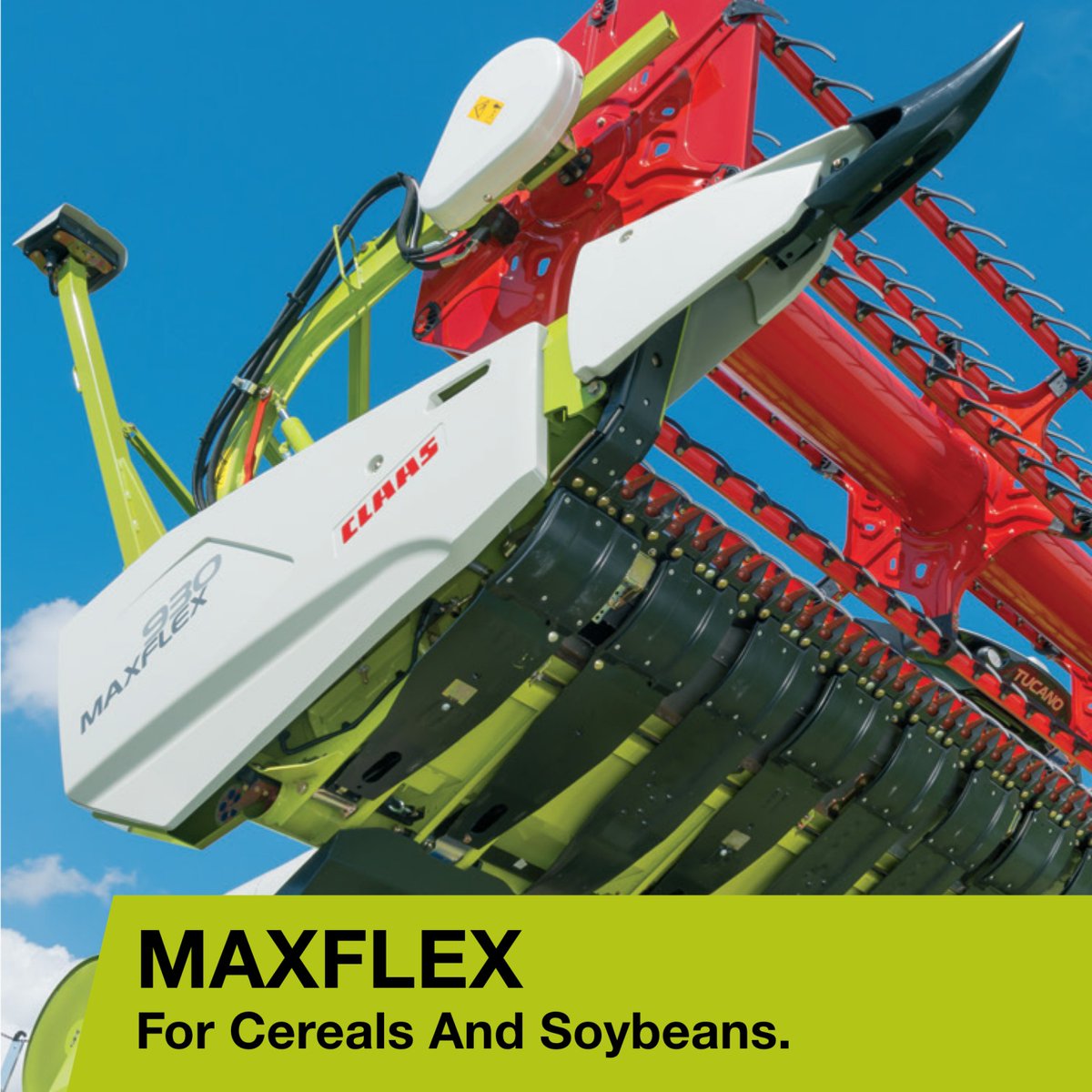 Taylor Implement tweet media