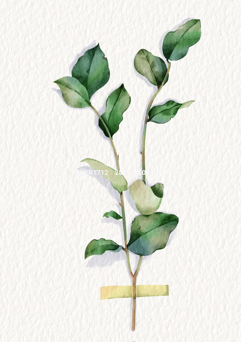 รับจ้างวาดดีมั้ย ลายละ150 บาท