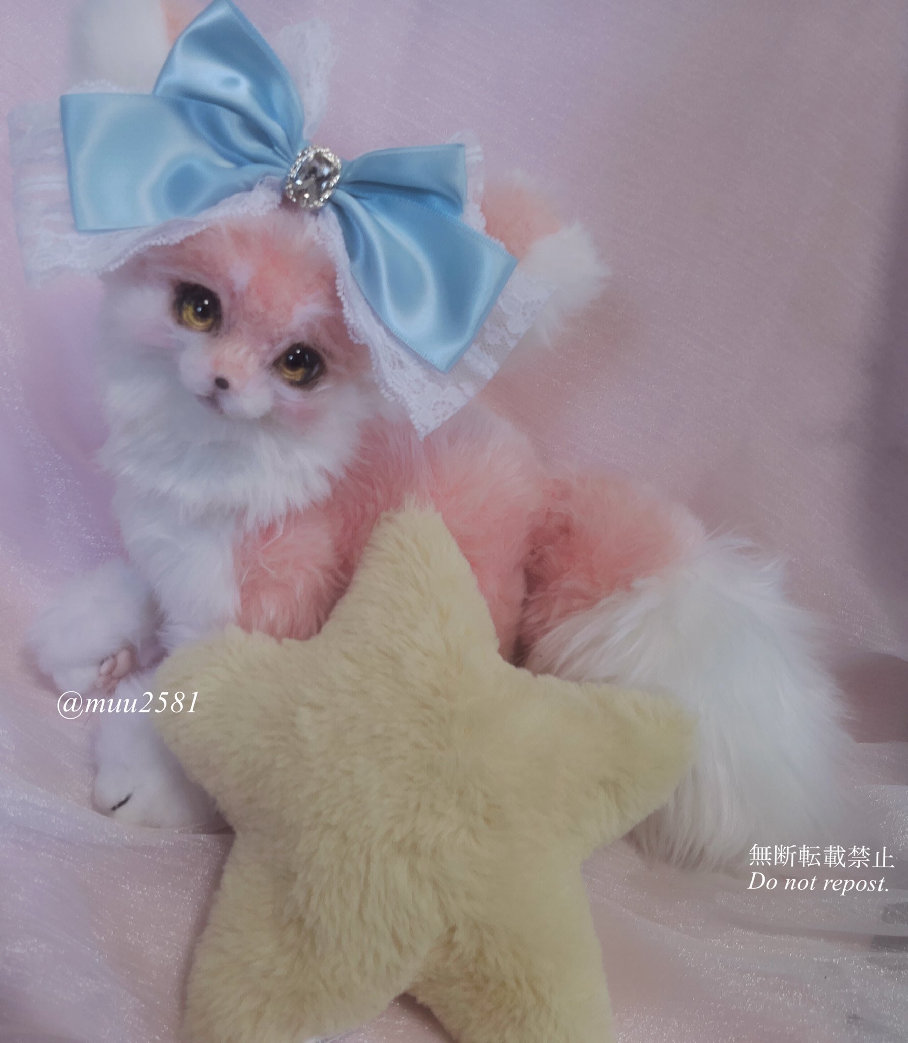 weightcat_huku.jpg