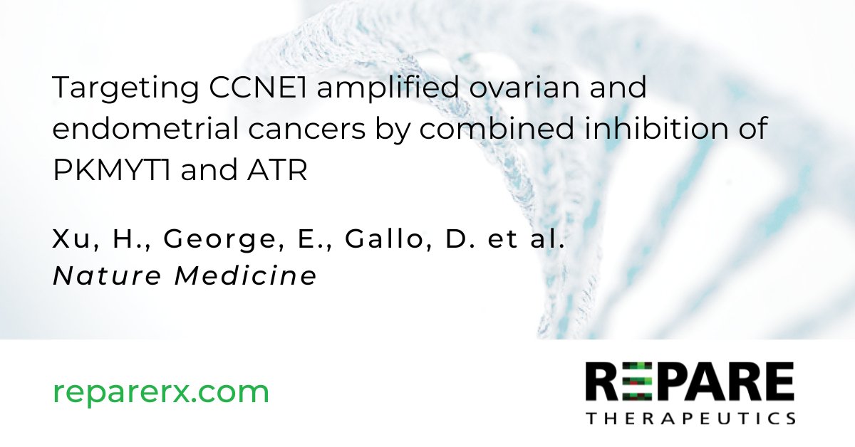 Repare Therapeutics (@reparerx) on Twitter photo We are pleased to share that our research exploring lunresertib+camonsertib in CCNE1 amplified #ovarian and #endometrial orthotopic PDX models has been published in <a href="/NatureMedicine/">Nature Medicine</a>. Read the study here: bit.ly/420FdTp #precisiononcology We are pleased to share that our research exploring lunresertib+camonsertib in CCNE1 amplified #ovarian and #endometrial orthotopic PDX models has been published in <a href="/NatureMedicine/">Nature Medicine</a>. Read the study here: bit.ly/420FdTp #precisiononcology