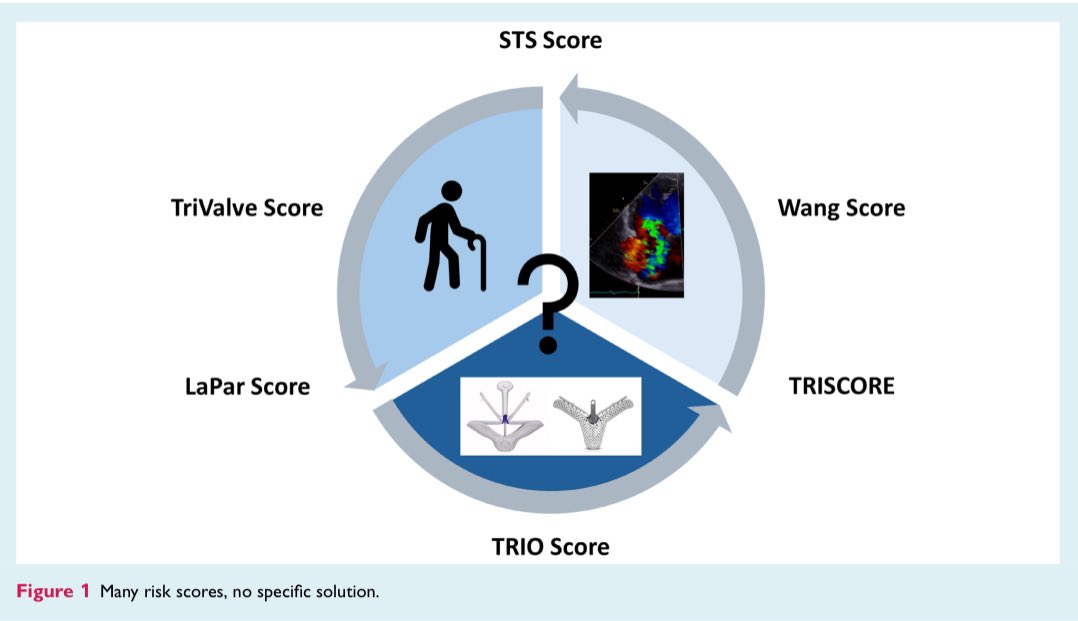 EJHF Editor-in-Chief (@ejhfeic) on Twitter photo 🗞️ Therapeutic decision making in #tricuspidregurgitation: Many risk scores for transcatheter repair with no specific answer
<a href="/ESC_Journals/">European Society of Cardiology Journals</a> <a href="/GiuseppeGalati_/">Giuseppe Galati</a>
<a href="/AmrAbdin10/">Amr Abdin</a> <a href="/HanCardiomd/">Henry Han</a>
<a href="/HFA_President/">HFAPresident</a>
bit.ly/4j2dN5B 🗞️ Therapeutic decision making in #tricuspidregurgitation: Many risk scores for transcatheter repair with no specific answer
<a href="/ESC_Journals/">European Society of Cardiology Journals</a> <a href="/GiuseppeGalati_/">Giuseppe Galati</a>
<a href="/AmrAbdin10/">Amr Abdin</a> <a href="/HanCardiomd/">Henry Han</a>
<a href="/HFA_President/">HFAPresident</a>
bit.ly/4j2dN5B