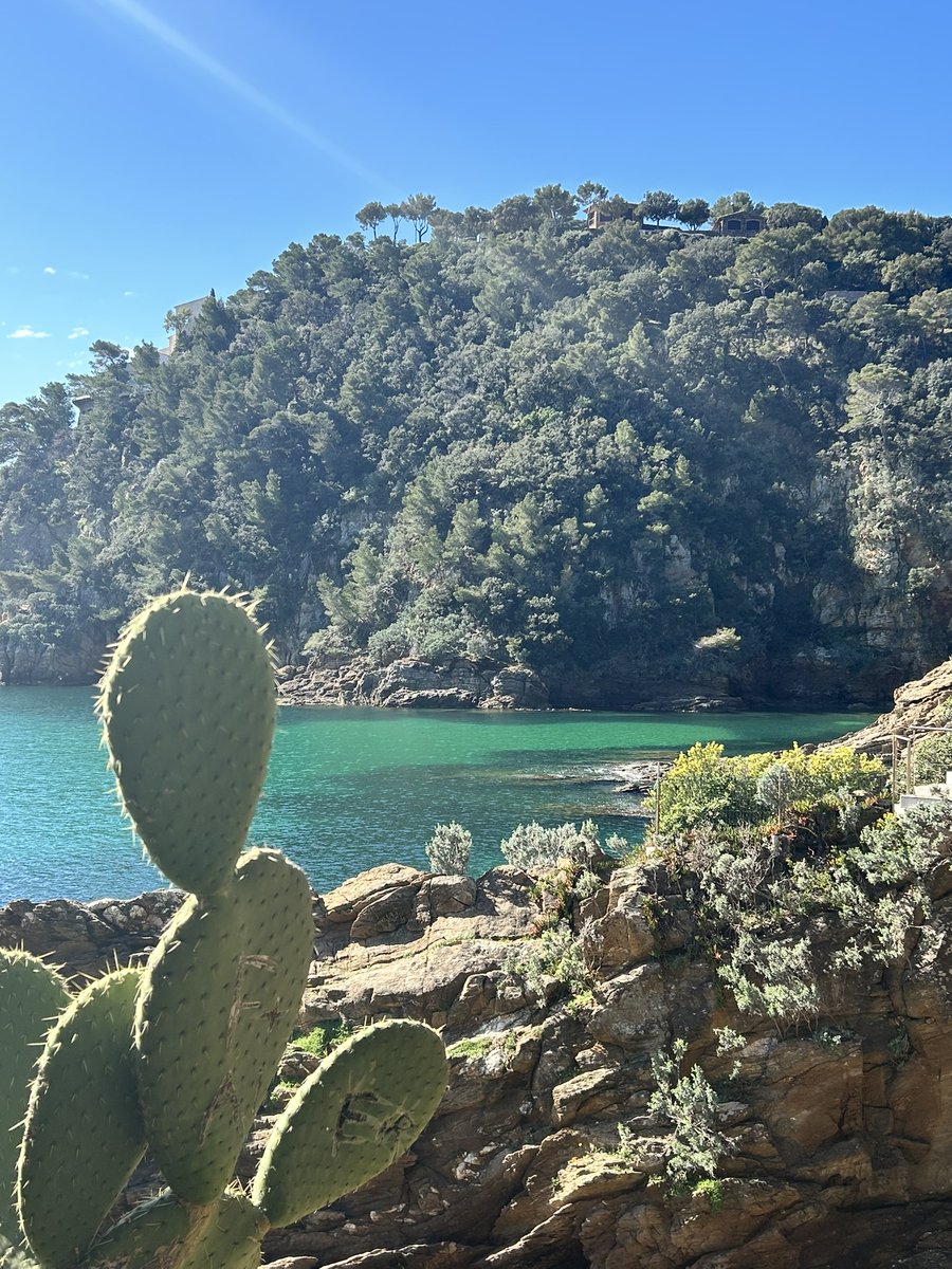 Une pause bien méritée à la calanque. 🫶
