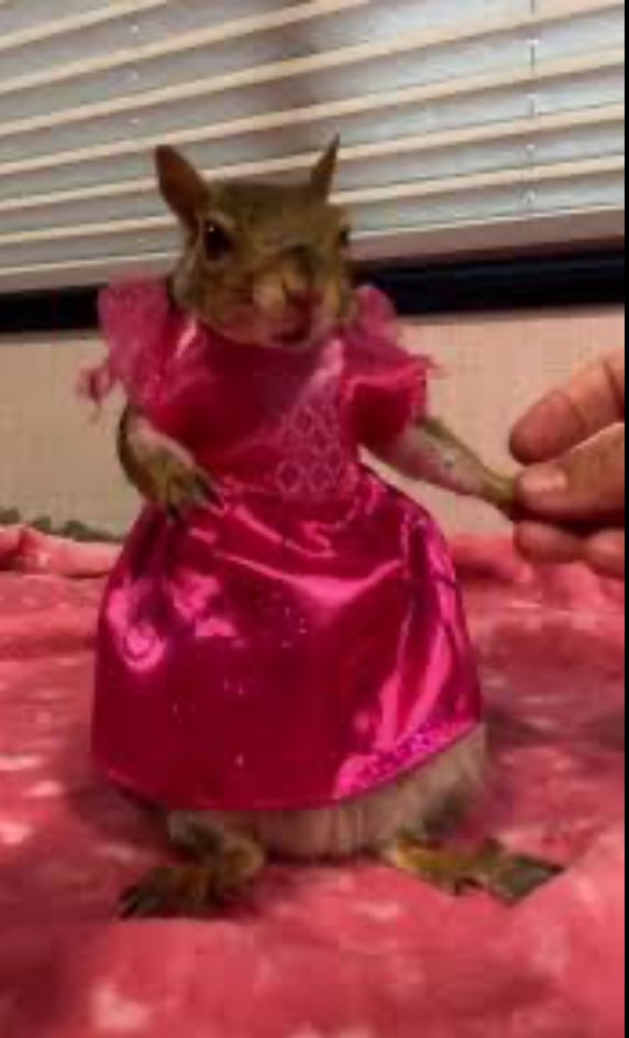 Han in Action 💙🤍💛👻 tweet media