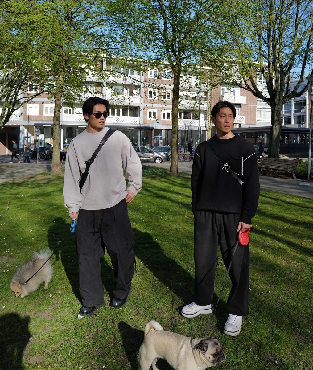 パグ ダチア・シュリンクヌバック｜DATIA-SN（BRN） – PATRICK｜パトリック