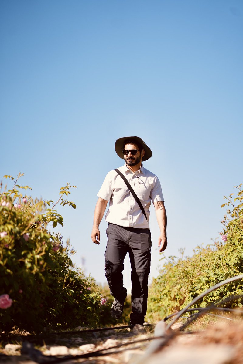 قطاف الورد في الجبل الأخضر 🌸✨.