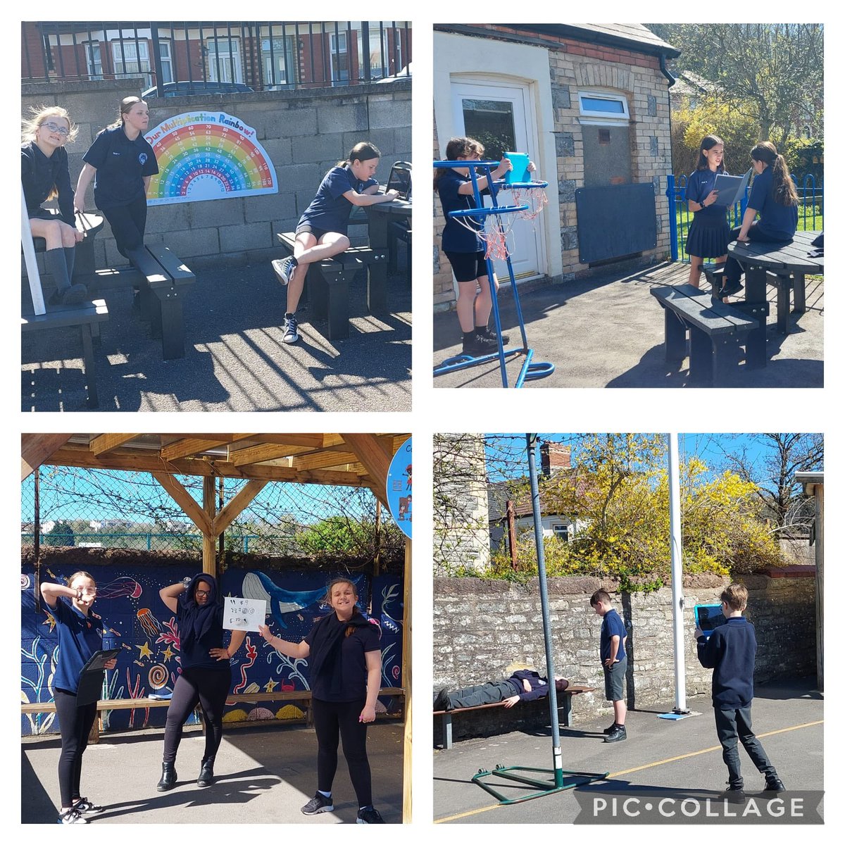 Year 6 making the most of the sunshine and outdoor areas to record their iMovies about ancient Egyptian medicine #llais #research