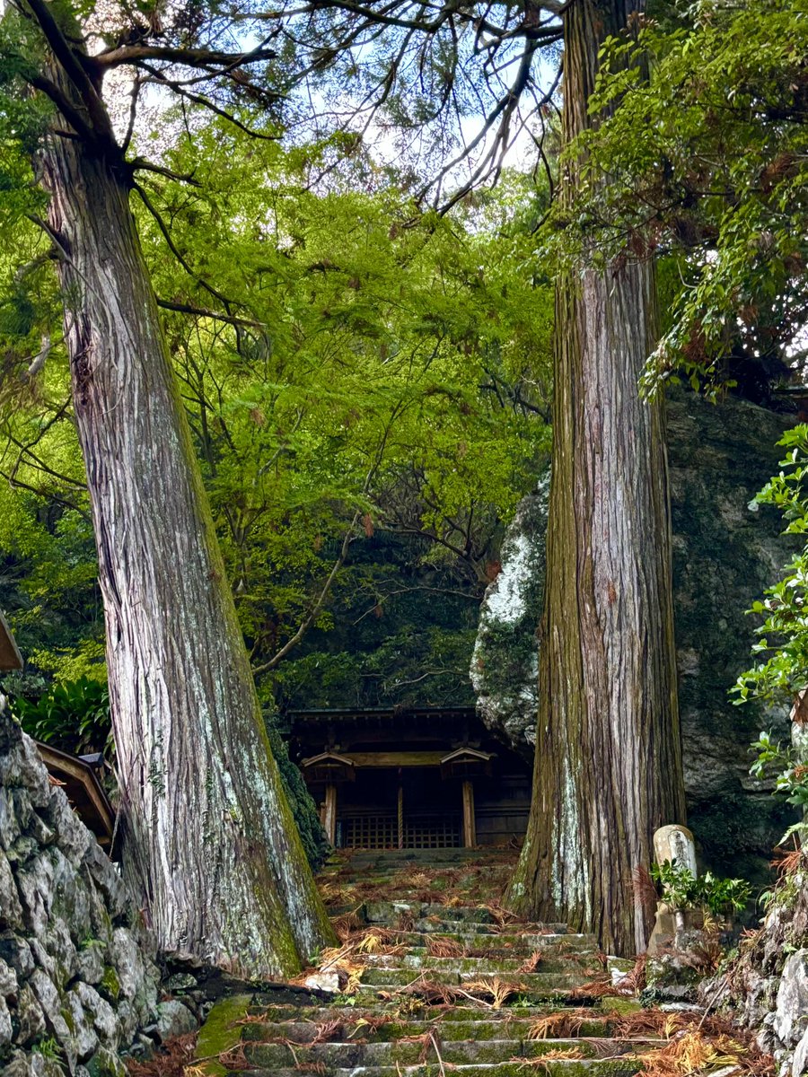 maxgorimax's tweet photo. 星の岩屋/徳島県勝浦郡勝浦町
792年空海が創建したと伝わる無住の寺院。
岩下の中から見る裏見の滝（不動の滝）がある
(Wikipedia)その昔、人々に災禍をなしていた悪星を空海（弘法大師）が法力で地上に引き下ろしてこの岩屋に封じこめたところ、悪星が石と化したため、この石を祀ったといわれている。 https://t.co/jynKqCmCUy