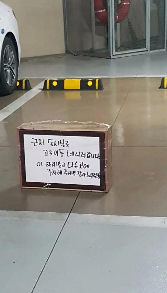 차곡차곡_teslapuppy tweet media