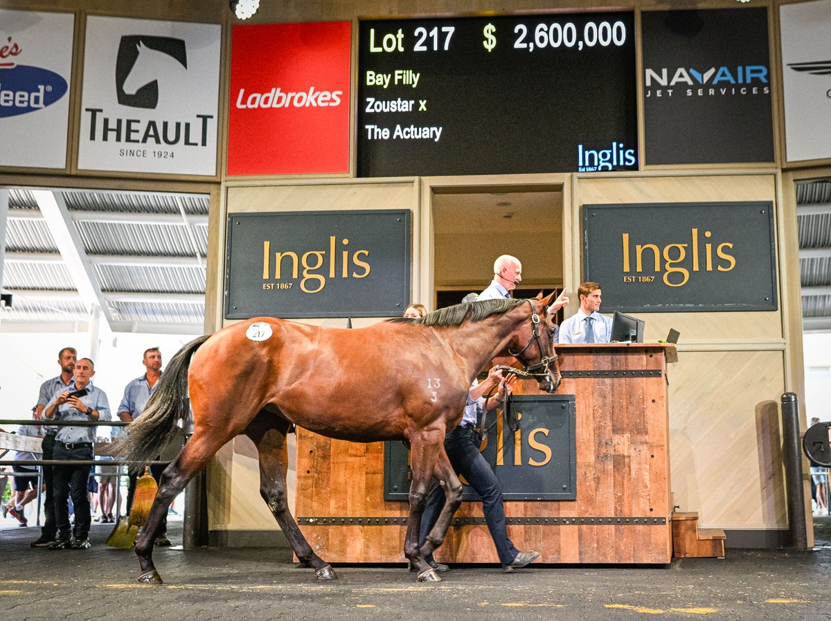 inglis_sales's tweet photo. NEWS: An incredible Easter Yearling Sale today concluded in remarkable fashion, defying bloodstock pessimism and global financial trends to finish with notable upturn in almost all key fiscal metrics. READ MORE: https://t.co/dS1CXPYTHM https://t.co/2ccZ8cPrMg