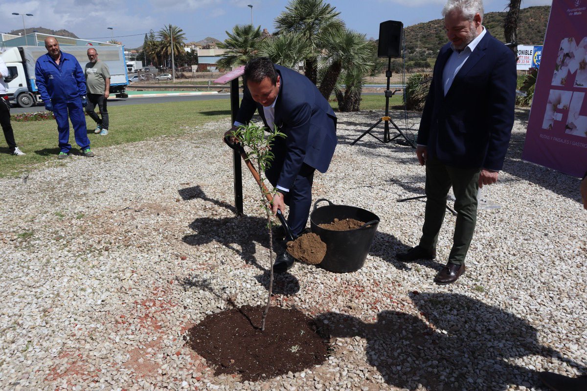 🤝 Mazarrón y Mula se hermanan a través del almendro, símbolo de la belleza natural y cultural de Mula. Esta colaboración fortalecerá los lazos entre ambos municipios, promoviendo el turismo y el desarrollo conjunto. Descubre todos los detalles aquí: mazarron.es/es/turismo/not…