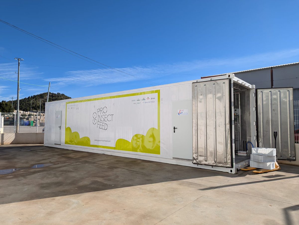 🧪 Ácido láurico para mejorar la salud animal: un ejemplo de sostenibilidad e innovación de Proinsectfeed. 
#GanaderíaSostenible #economiacircular #sostenibilidad