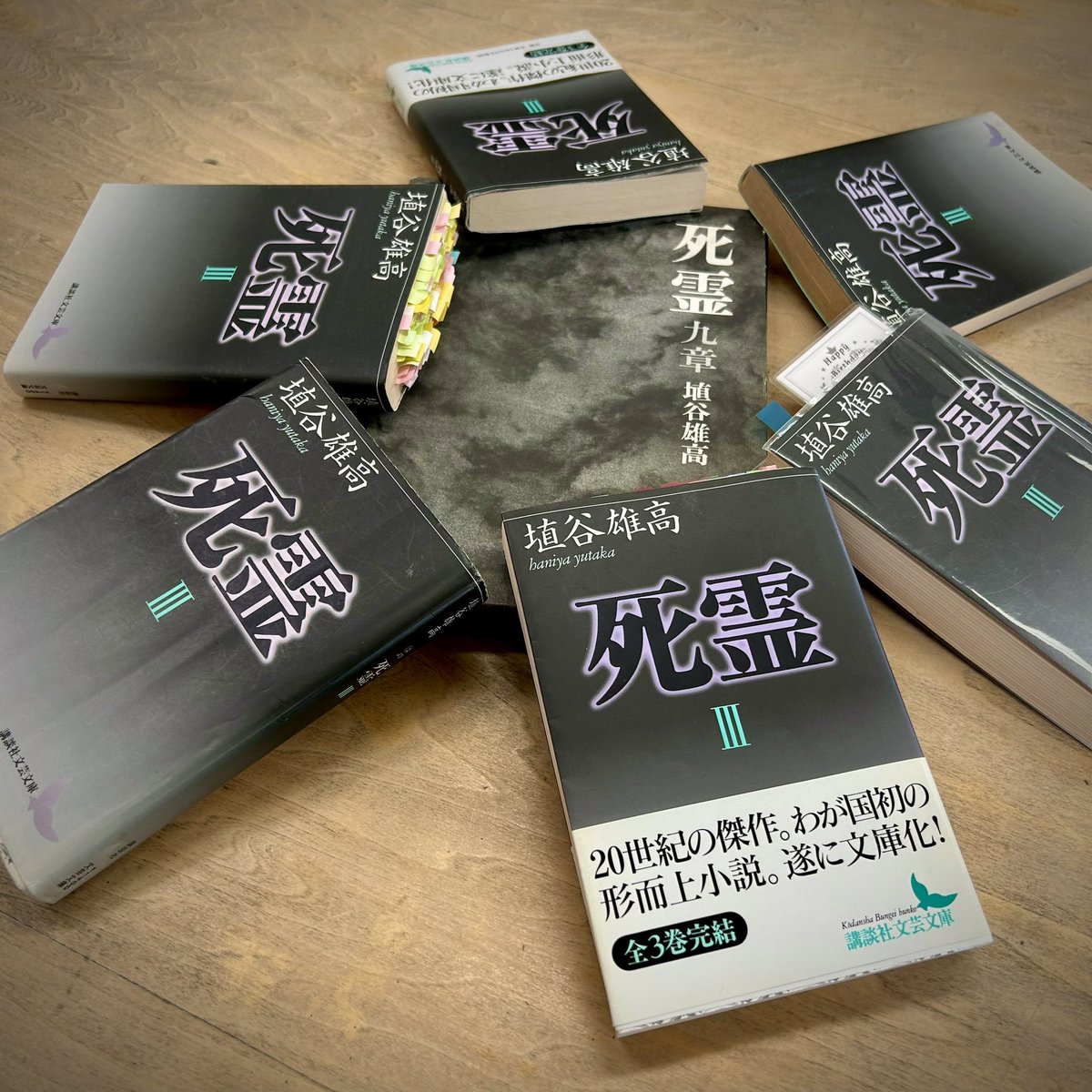 埴谷雄高『死霊』を読む会_福島 (@haniya_SIREi_F) / Posts / X