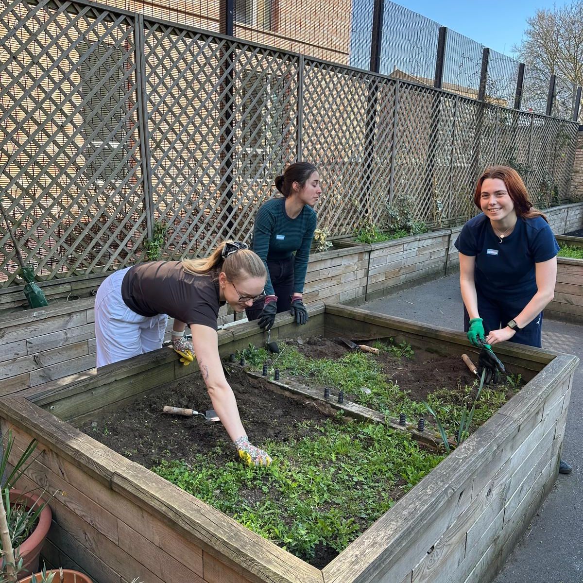 Last week, a passionate group of volunteers from Octopus Energy rolled up their sleeves at Rosary Catholic Primary School in Belsize Park to clear out overgrown bamboo, making way for a greener, more inviting space for the children. 🌿✨