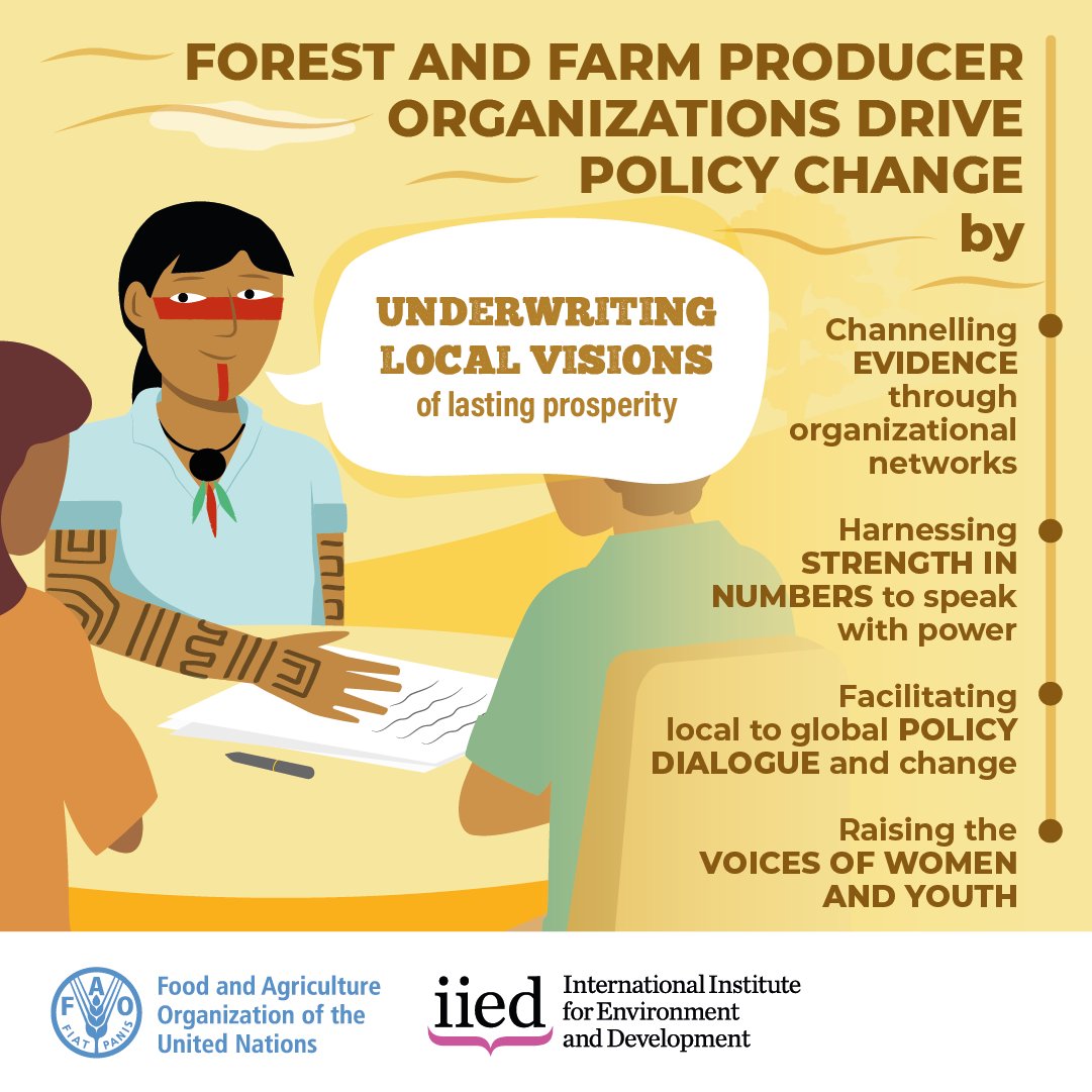 ➡️#DYK forest and farmer producer organizations drive policy change by underwriting local visions of lasting prosperity.

Find out how the #ForestFarmFacility is providing support 👉bit.ly/FFFacility

<a href="/IIED/">IIED</a> <a href="/IUCN/">IUCN</a> <a href="/FFP_AgriCord/">AgriCord</a>