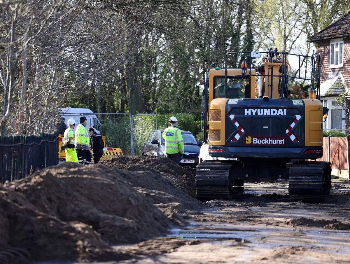 Buckhurst Plant Hire tweet media