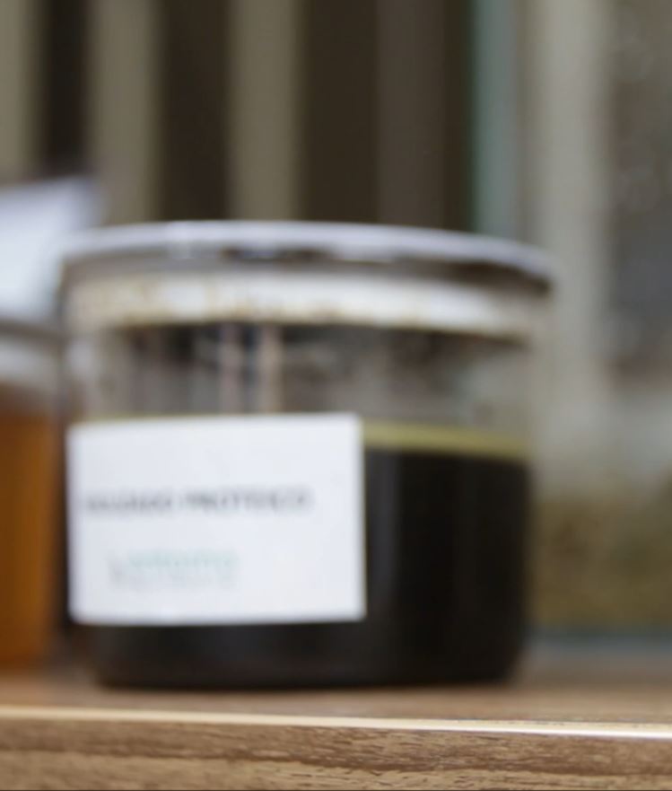 🐷 El desafío de la gestión de purines tiene solución con Insectpur.
A través de biotecnología, transformamos un problema ambiental en una oportunidad para el sector agrícola, reduciendo el impacto ambiental y aumentando la eficiencia.
🌍🔄
#InnovaciónAgro #Sostenibilidad