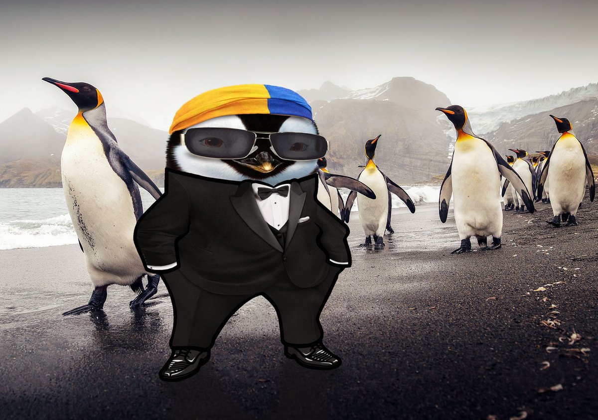 Fella delivery for <a href="/KernowMaya/">Kernow Jane 2.0 Main Bastard 🎗🕸🦩</a>.

Here's your penguin fella in bandana &amp; sunglasses.

I hope you like him.

Want your own Fella?
You can join us &amp; become a Fella too.
See:  nafo-ofan.org/pages/how-to-b…