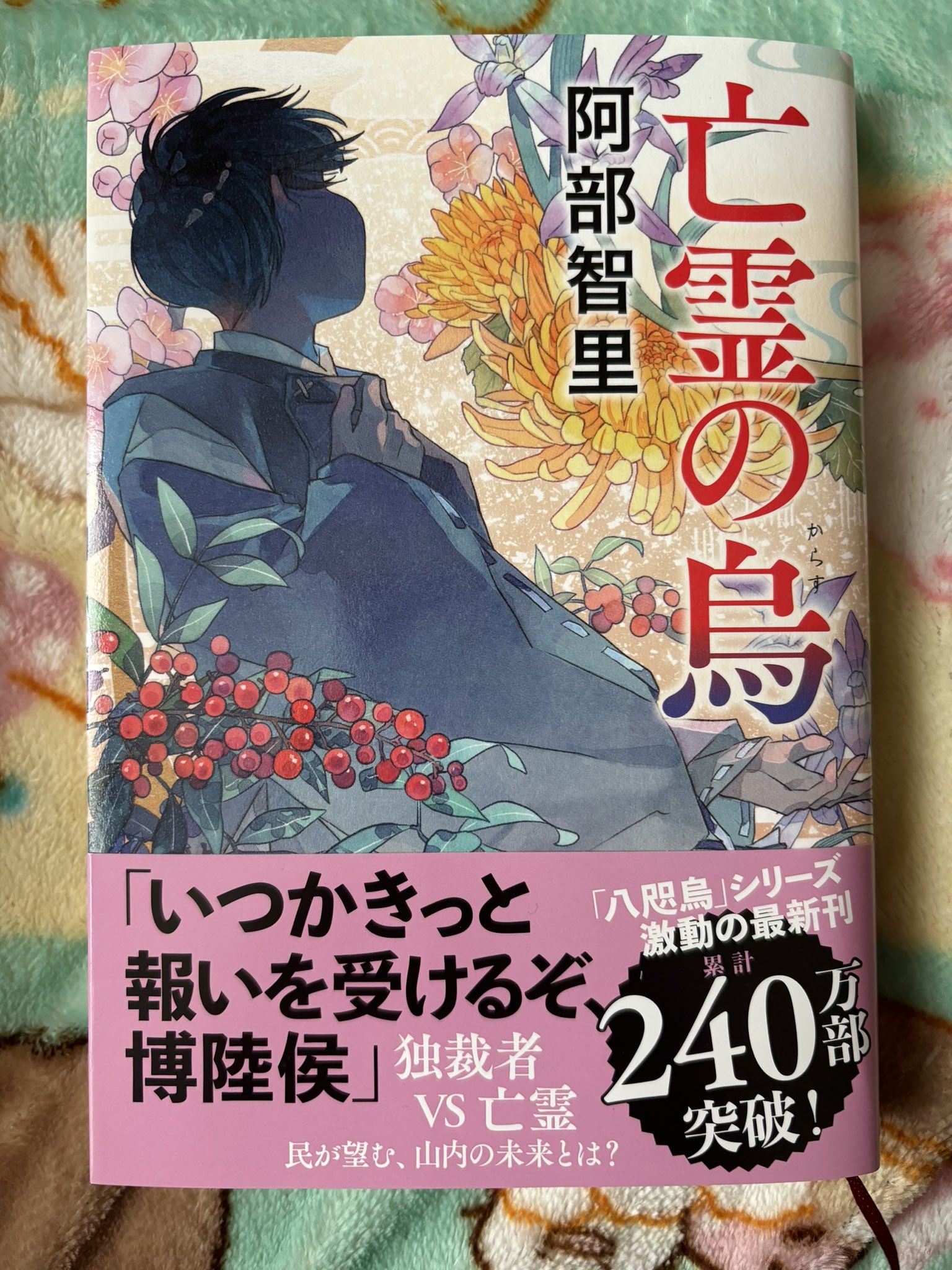 続・八咫烏更新中という事で | ひなの。裏ブログ