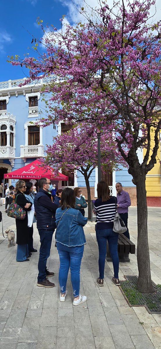 Ayuntamiento Bullas tweet media