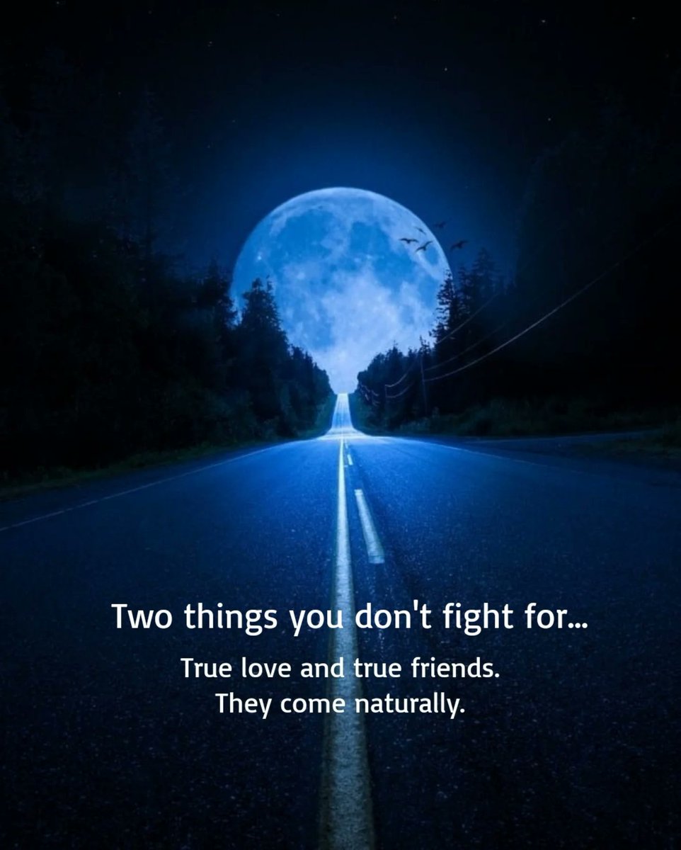 Mind_Essentials's tweet photo. https://t.co/36UI7rkk92