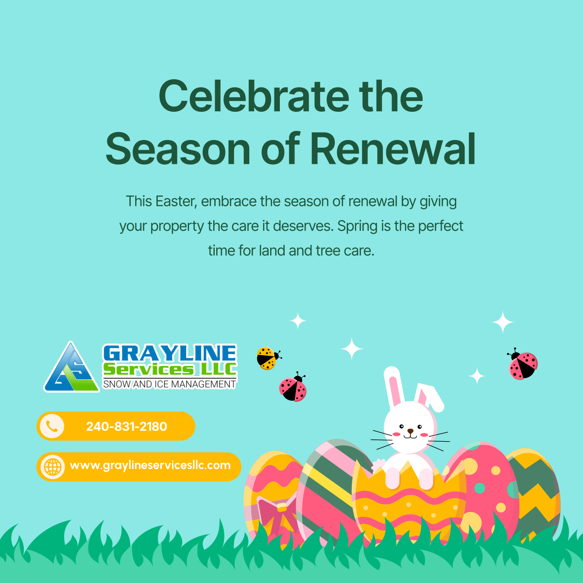 Graylinesvcs's tweet image. Celebrate new beginnings this Easter by giving your land a fresh start with our expert land and tree services. Contact us to get started! 

#Easter2025 #SpringRenewal #LandManagement