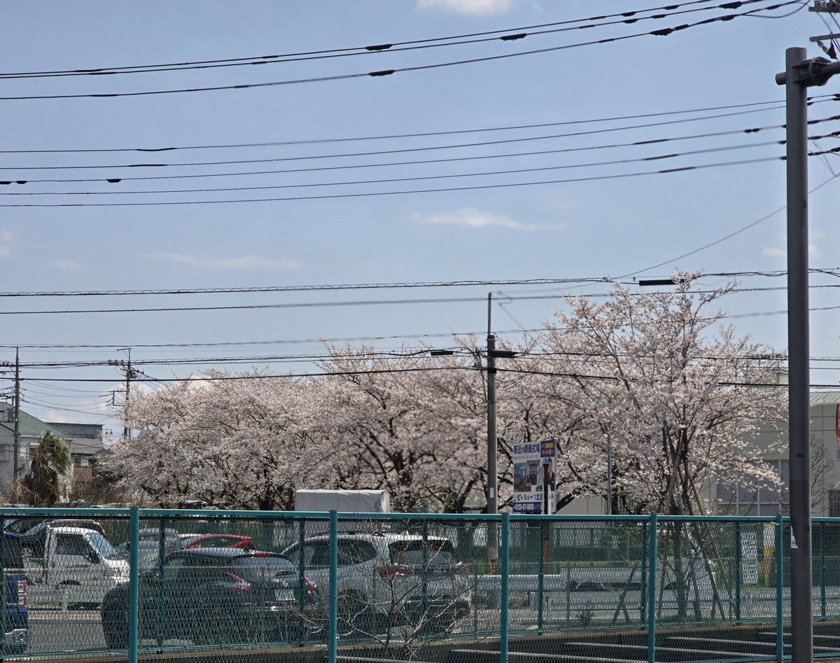 katsuki5025's tweet image. 再来週のTOEIC、
目標スコアを突破するために、
英文法と長文を、
どんどんこなそう😁

【04/07(月)】
①12kmjog

【TOEIC】
①金フレ400語
②銀フレ250語
③英文法はじめての400問30問
④金パケpart7 1問

#carosvertix2 
#tabio
#xplosion
#TOEIC
#博士課程の道