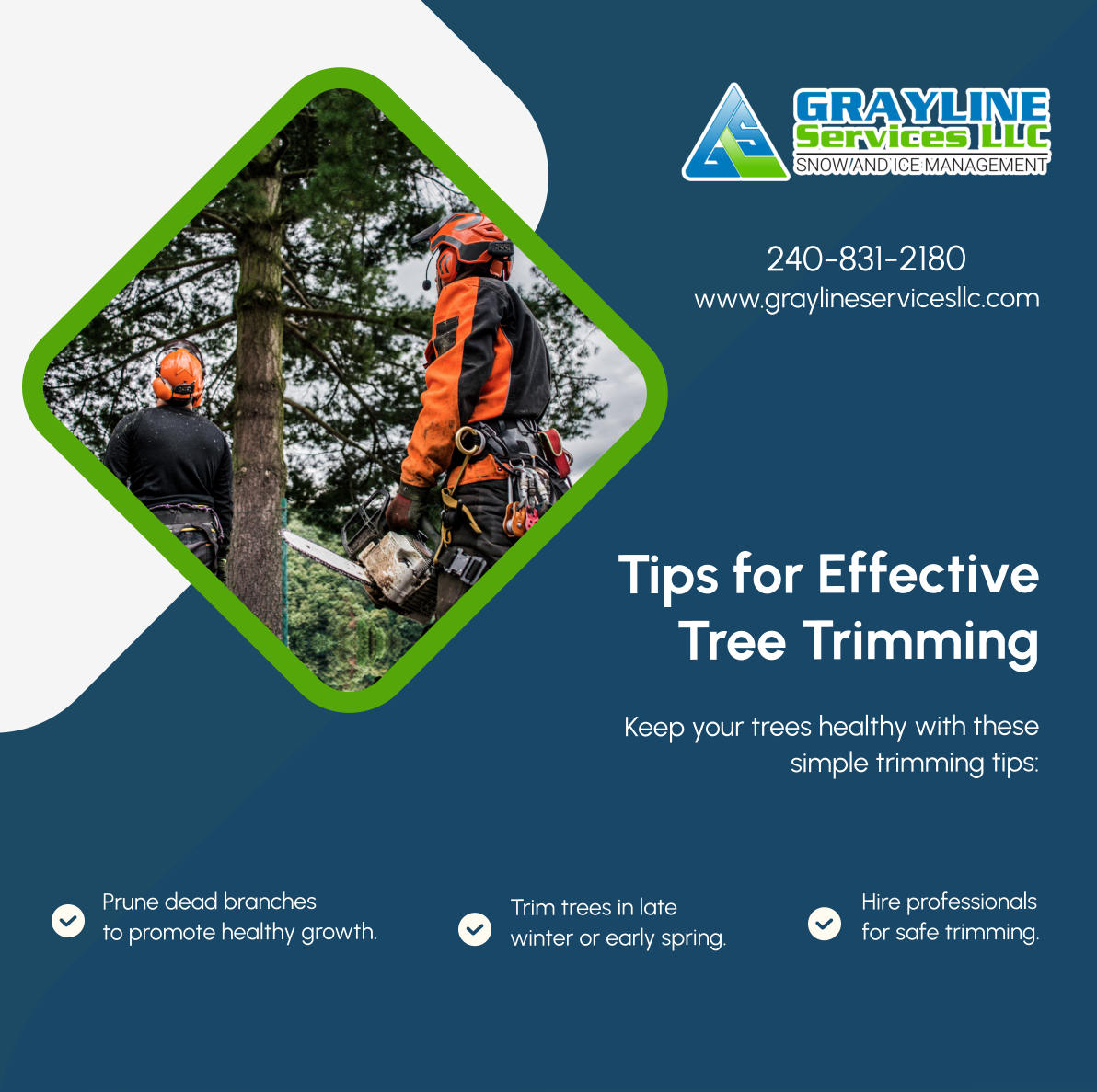 Graylinesvcs's tweet image. Proper tree trimming ensures a healthy landscape. Follow these tips for thriving trees and a beautiful yard. Contact us for professional trimming services. 

#CollegeParkMD #LandClearingService #TreeTrimming