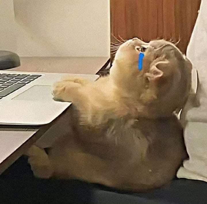 mood  : tired sus but okay