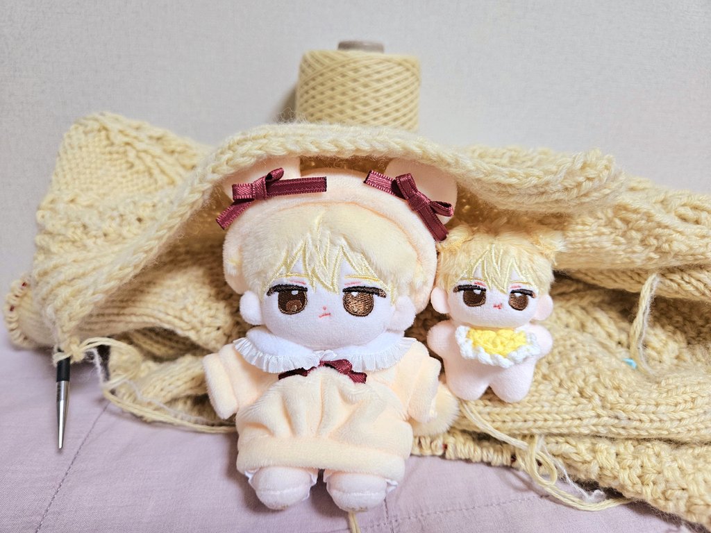 applelubi's tweet photo. 얌뭉댕이도 집에 왔어요~ 귀엽지요🤭 https://t.co/QYayB6Nhah