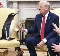 All of this blood in the streets because an island of penguins got cocky. So avoidable. Shame on you President Mumble.