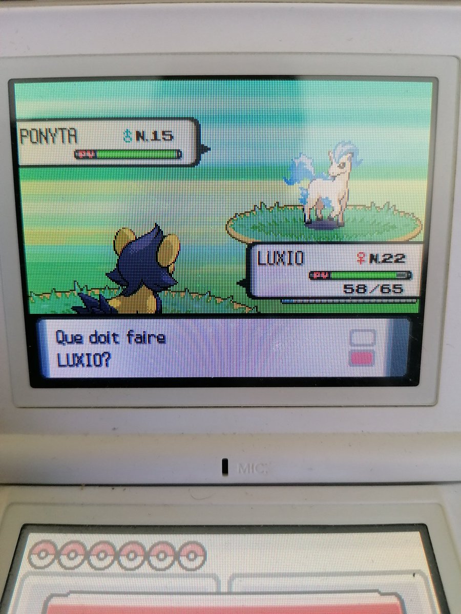 Petit Ponyta shiny tombé en 15 146  rencontres qui me permet de finir la SRT en beauté. Tombé en voc avec <a href="/UnovaSlayerrr/">¡ Retro ! #URQ 17/80🪐</a> devant le match 3DMax vs Astralis