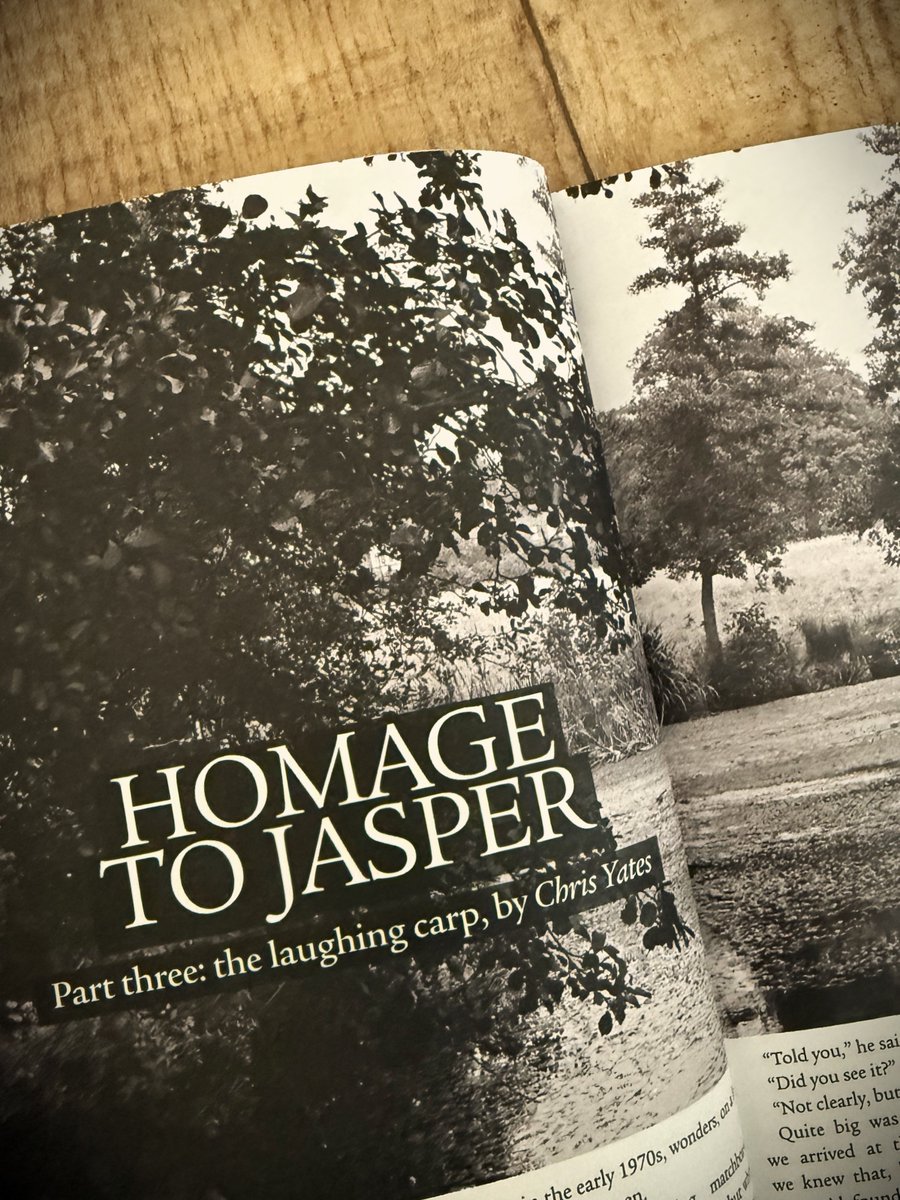 fallonsangler's tweet image. "We celebrated our new acquisition by not calling it a syndicate but the water of the very recently formed 'Golden Scale Club'."
Chris Yates completes his Homage to Jasper - with imagery courtesy of Mehmet Hassan.
Issue 37 - to order or subscribe visit - fallonsangler.net/shop/